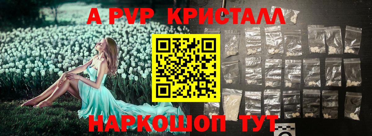A-PVP СК  Alfa_PVP СК  Тверь  Вход с VPN 